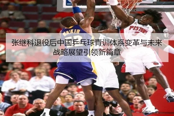 张继科退役后中国乒乓球青训体系变革与未来战略展望引领新篇章